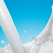 牛奶戰爭！我該不該喝牛奶？