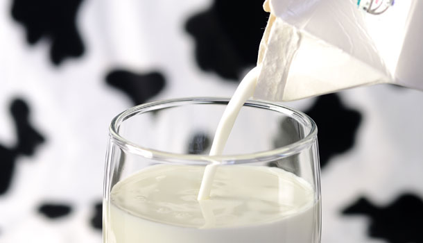 Image result for 牛奶