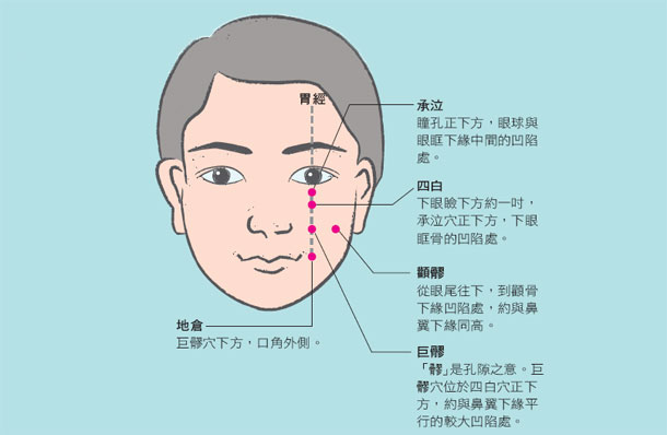 医师钟玄夫建议,三叉神经痛发作时,可按压以下穴位,减轻疼痛:  承泣