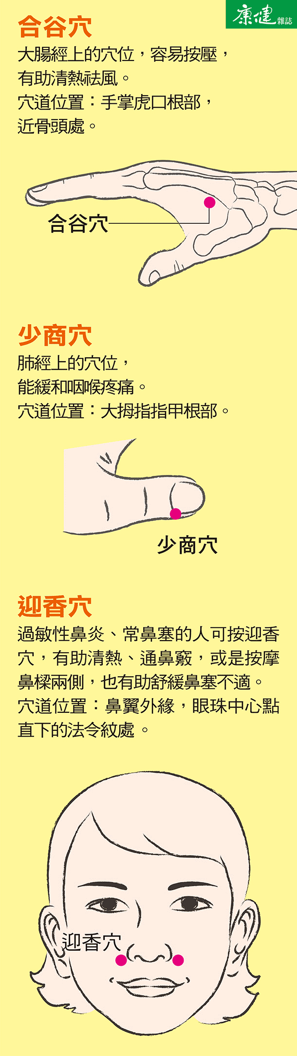 按摩哪里可以「养肺顾气管?