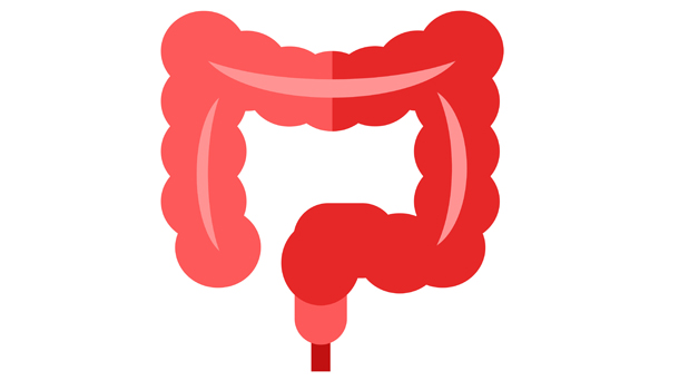【图解知识】了解大肠日常运作