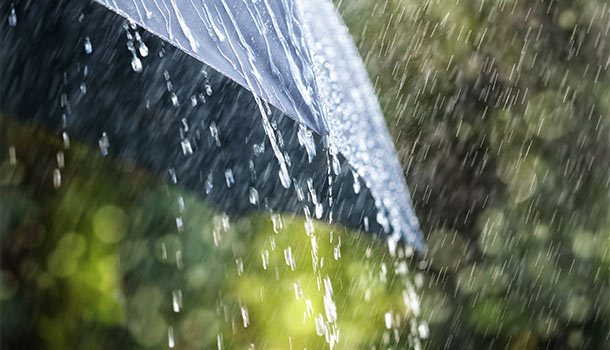 對抗梅雨季 梅雨季 是自律神經的大難關 該如何度過 康健雜誌