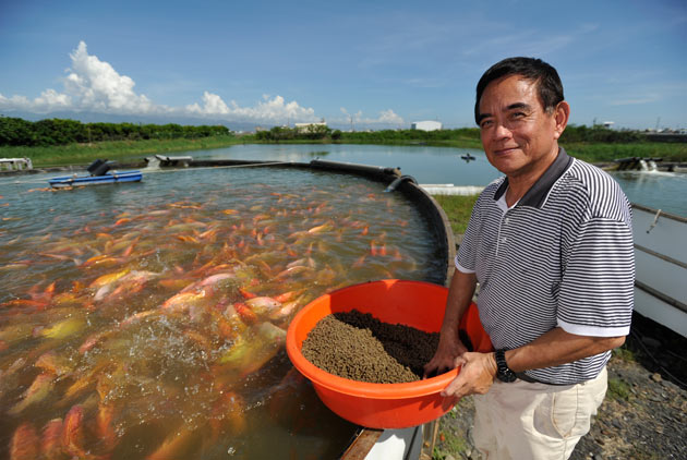 中華海洋生技讓養殖魚跟野生的一樣好吃 天下雜誌