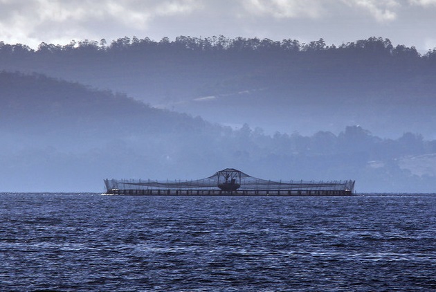 Aquaculture Could Feed the World and Protect the Planet - If We Get It Right