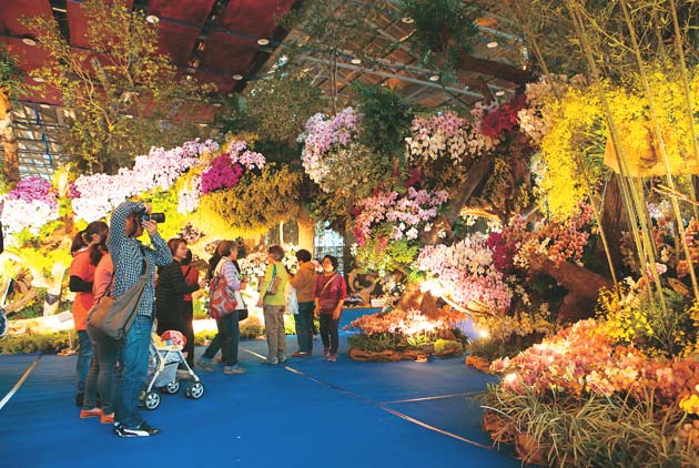 Taiwanese Orchids to Bloom in Desert Countries